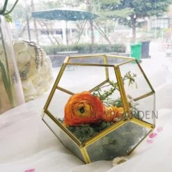 Handmade Gold Tabletop Polyhedron Glass Geometric Terrarium For Wedding Section Reception 22 Handmade Gold Tabletop Polyhedron Glass Geometric Terrarium For Wedding Section Reception -Terrarium Plant Hub product image 600901077