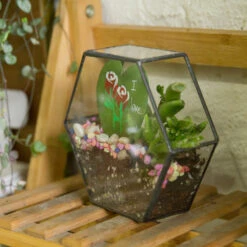 Handmade HoneycombThin Glass Geometric Terrarium For Succulents Moss 19 Handmade HoneycombThin Glass Geometric Terrarium For Succulents Moss -Terrarium Plant Hub product image 605957785