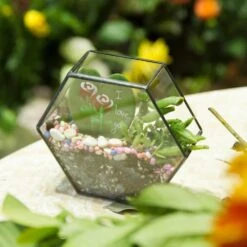 Handmade HoneycombThin Glass Geometric Terrarium For Succulents Moss 21 Handmade HoneycombThin Glass Geometric Terrarium For Succulents Moss -Terrarium Plant Hub product image 605957786