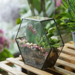 Handmade HoneycombThin Glass Geometric Terrarium For Succulents Moss 14 Handmade HoneycombThin Glass Geometric Terrarium For Succulents Moss -Terrarium Plant Hub product image 605957798
