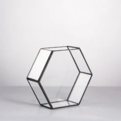 Handmade HoneycombThin Glass Geometric Terrarium For Succulents Moss