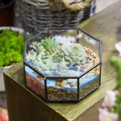 Handmade Regular Octagon Glass Geometric Terrarium For Succulent Decoration 14 Handmade Regular Octagon Glass Geometric Terrarium For Succulent Decoration -Terrarium Plant Hub product image 606070218