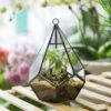 Handmade Small Teardrop Hanging Clear Glass Geometric Terrarium For Succulent Fern Airplants -Terrarium Plant Hub product image 639286726