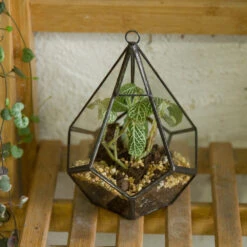 Handmade Small Teardrop Hanging Clear Glass Geometric Terrarium For Succulent Fern Airplants -Terrarium Plant Hub product image 639286737