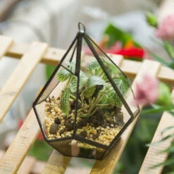 Handmade Small Teardrop Hanging Clear Glass Geometric Terrarium For Succulent Fern Airplants -Terrarium Plant Hub product image 639286739