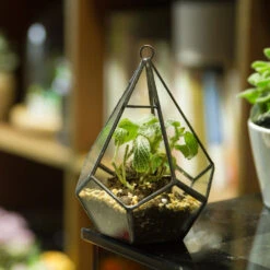 Handmade Small Teardrop Hanging Clear Glass Geometric Terrarium For Succulent Fern Airplants -Terrarium Plant Hub product image 639286742