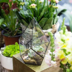 Handmade Black Artistic Four-surfaces Glass Geometric Terrarium For Succulents Airplants Moss -Terrarium Plant Hub product image 639924226