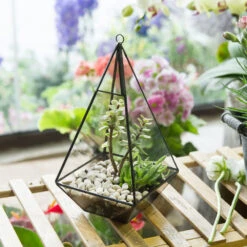 Handmade Glass Geometric Terrarium Indoor Outdoor Planter Landscape Wall Pyramid For Succulents -Terrarium Plant Hub product image 681089938