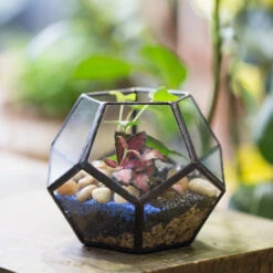 Handmade Mini Black Pentagon Glass Geometric Terrarium For Ring Box Moss -Terrarium Plant Hub product image 693688931