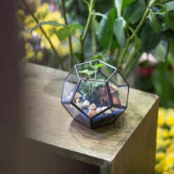 Handmade Mini Black Pentagon Glass Geometric Terrarium For Ring Box Moss -Terrarium Plant Hub product image 693688933