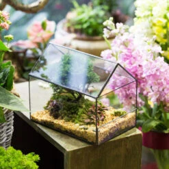 Handmade House Shape Open On The Side Glass Geometric Terrarium For Fern Moss Succulents Airplants -Terrarium Plant Hub product image 700447776