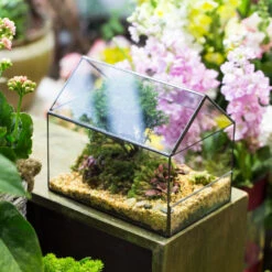Handmade House Shape Open On The Side Glass Geometric Terrarium For Fern Moss Succulents Airplants -Terrarium Plant Hub product image 700447782