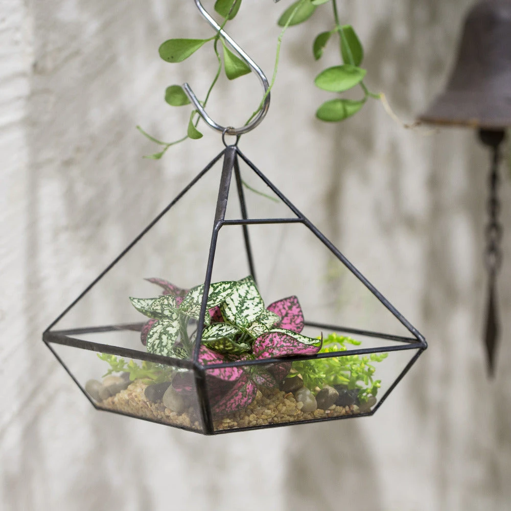 Handmade Black Vertebral Hanging Geometric Glass Terrarium For Succulent Fern Moss 15 Handmade Black Vertebral Hanging Geometric Glass Terrarium For Succulent Fern Moss - Image 13