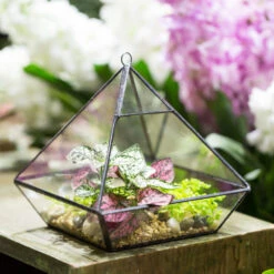 Handmade Black Vertebral Hanging Geometric Glass Terrarium For Succulent Fern Moss 21 Handmade Black Vertebral Hanging Geometric Glass Terrarium For Succulent Fern Moss -Terrarium Plant Hub product image 715714506