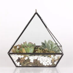 Handmade Black Vertebral Hanging Geometric Glass Terrarium For Succulent Fern Moss 26 Handmade Black Vertebral Hanging Geometric Glass Terrarium For Succulent Fern Moss -Terrarium Plant Hub product image 715714511