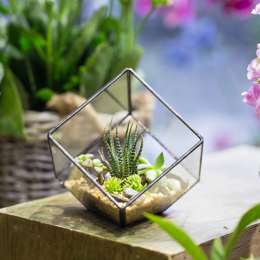Handmade 10cm Inclined Cube Vase Glass Geometric Terrarium Tabletop Flowerpot For Garden Succulents 11 Handmade 10cm Inclined Cube Vase Glass Geometric Terrarium Tabletop Flowerpot For Garden Succulents - Image 9
