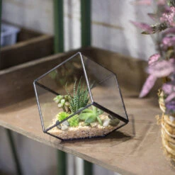 Handmade 10cm Inclined Cube Vase Glass Geometric Terrarium Tabletop Flowerpot For Garden Succulents 17 Handmade 10cm Inclined Cube Vase Glass Geometric Terrarium Tabletop Flowerpot For Garden Succulents -Terrarium Plant Hub product image 739086378