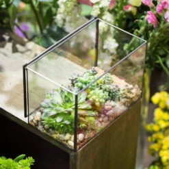 Handmade Rectangle Glass Geometric Terrarium With Lid For Succulents Moss Fern 19 Handmade Rectangle Glass Geometric Terrarium With Lid For Succulents Moss Fern -Terrarium Plant Hub product image 739086386