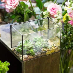 Handmade Rectangle Glass Geometric Terrarium With Lid For Succulents Moss Fern 14 Handmade Rectangle Glass Geometric Terrarium With Lid For Succulents Moss Fern -Terrarium Plant Hub product image 739086399