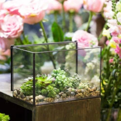 Handmade Rectangle Glass Geometric Terrarium With Lid For Succulents Moss Fern 15 Handmade Rectangle Glass Geometric Terrarium With Lid For Succulents Moss Fern -Terrarium Plant Hub product image 739086401