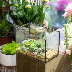 Handmade Rectangle Glass Geometric Terrarium With Lid For Succulents Moss Fern 16 Handmade Rectangle Glass Geometric Terrarium With Lid For Succulents Moss Fern -Terrarium Plant Hub product image 739086402