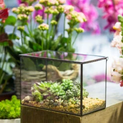 Handmade Rectangle Glass Geometric Terrarium With Lid For Succulents Moss Fern 17 Handmade Rectangle Glass Geometric Terrarium With Lid For Succulents Moss Fern -Terrarium Plant Hub product image 739086403