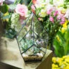 Handmade Black Artistic Four-surfaces Glass Geometric Terrarium For Succulents Airplants Moss -Terrarium Plant Hub product image 822271926