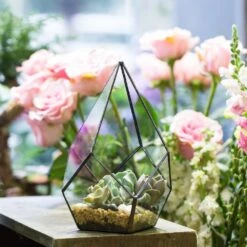 Handmade Black Artistic Four-surfaces Glass Geometric Terrarium For Succulents Airplants Moss -Terrarium Plant Hub product image 822271934