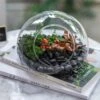 Hand Blown Glass Bubble Shape Globe Terrarium For Miniature Micro Landscape Airplants Moss -Terrarium Plant Hub product image 822513985