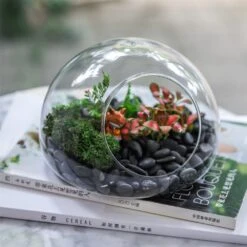 Hand Blown Glass Bubble Shape Globe Terrarium For Miniature Micro Landscape Airplants Moss 26 Hand Blown Glass Bubble Shape Globe Terrarium For Miniature Micro Landscape Airplants Moss -Terrarium Plant Hub product image 822513986