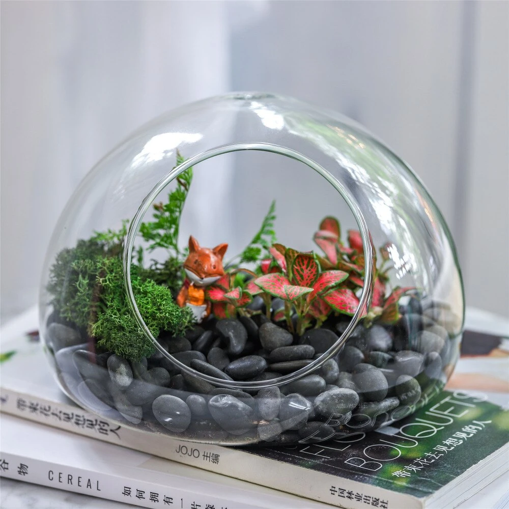 Hand Blown Glass Bubble Shape Globe Terrarium For Miniature Micro Landscape Airplants Moss 5 Hand Blown Glass Bubble Shape Globe Terrarium For Miniature Micro Landscape Airplants Moss - Image 3