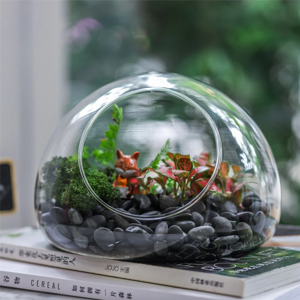 Hand Blown Glass Bubble Shape Globe Terrarium For Miniature Micro Landscape Airplants Moss 6 Hand Blown Glass Bubble Shape Globe Terrarium For Miniature Micro Landscape Airplants Moss - Image 4