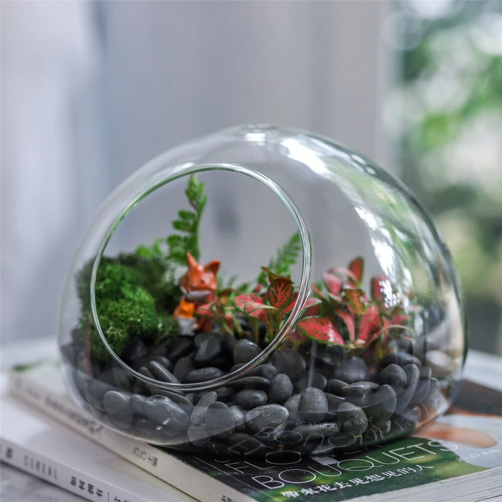 Hand Blown Glass Bubble Shape Globe Terrarium For Miniature Micro Landscape Airplants Moss 10 Hand Blown Glass Bubble Shape Globe Terrarium For Miniature Micro Landscape Airplants Moss - Image 8