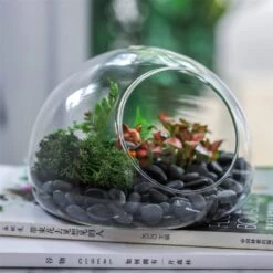 Hand Blown Glass Bubble Shape Globe Terrarium For Miniature Micro Landscape Airplants Moss 25 Hand Blown Glass Bubble Shape Globe Terrarium For Miniature Micro Landscape Airplants Moss -Terrarium Plant Hub product image 822513995