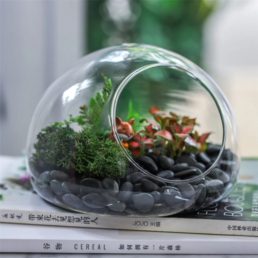 Hand Blown Glass Bubble Shape Globe Terrarium For Miniature Micro Landscape Airplants Moss 13 Hand Blown Glass Bubble Shape Globe Terrarium For Miniature Micro Landscape Airplants Moss - Image 11