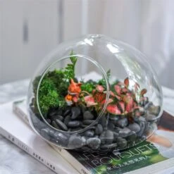 Hand Blown Glass Bubble Shape Globe Terrarium For Miniature Micro Landscape Airplants Moss 27 Hand Blown Glass Bubble Shape Globe Terrarium For Miniature Micro Landscape Airplants Moss -Terrarium Plant Hub product image 822513997