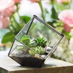 Handmade 10cm / 15cm Inclined Cube Glass Black Geometric Terrarium With Door For Succulent Moss -Terrarium Plant Hub product image 825328348