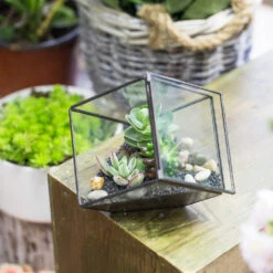 Handmade 10cm / 15cm Inclined Cube Glass Black Geometric Terrarium With Door For Succulent Moss -Terrarium Plant Hub product image 825328350