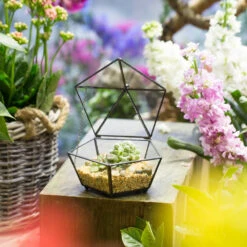 Handmade Tabletop Artistic Glass Jewelry Box Geometric Terrarium For Weddiing Home Office Decor -Terrarium Plant Hub product image 826680350