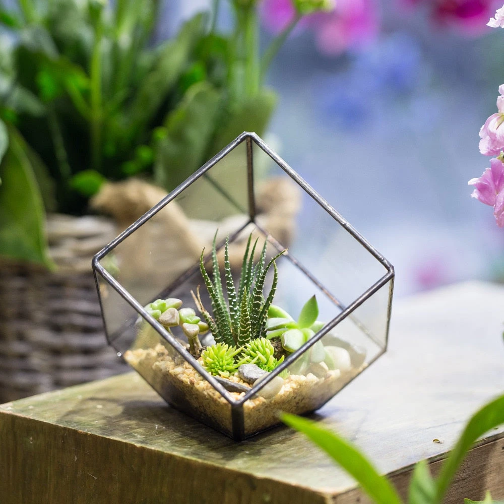 Handmade 10cm Inclined Cube Vase Glass Geometric Terrarium Tabletop Flowerpot For Garden Succulents 9 Handmade 10cm Inclined Cube Vase Glass Geometric Terrarium Tabletop Flowerpot For Garden Succulents - Image 7