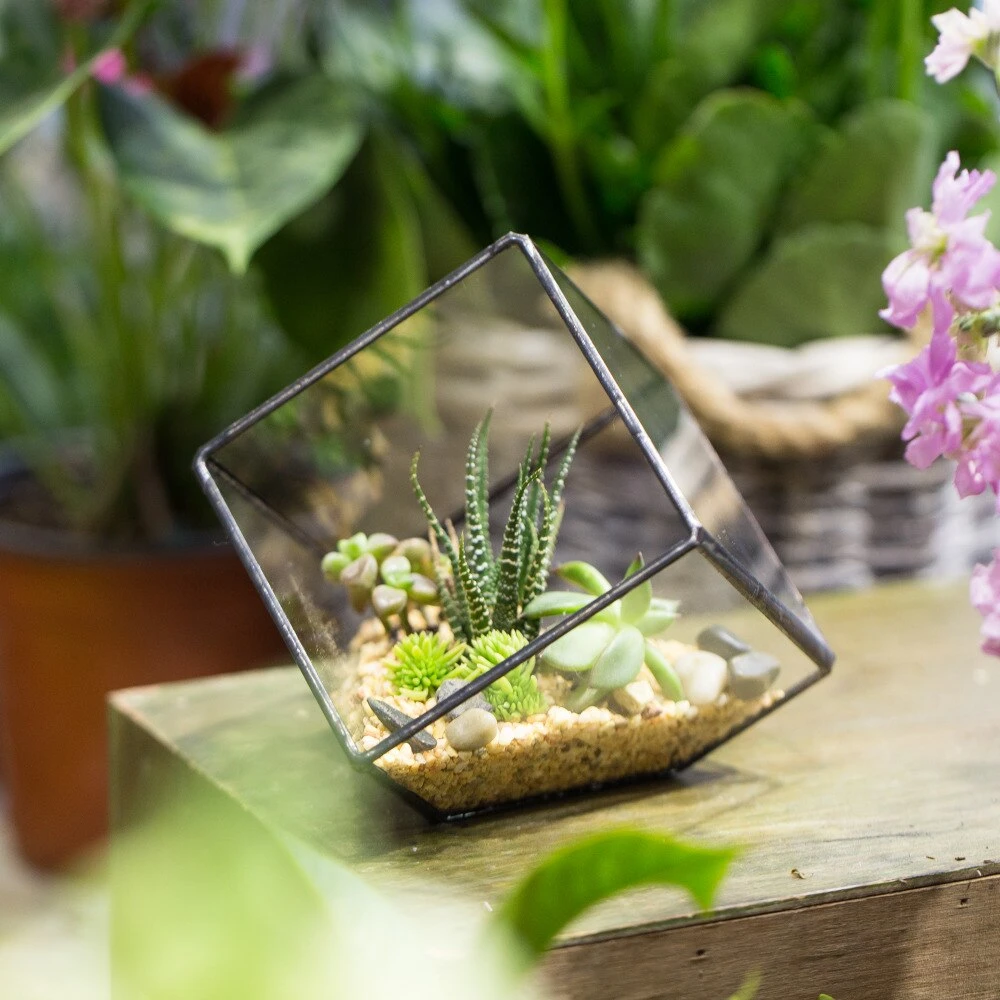 Handmade 10cm Inclined Cube Vase Glass Geometric Terrarium Tabletop Flowerpot For Garden Succulents 13 Handmade 10cm Inclined Cube Vase Glass Geometric Terrarium Tabletop Flowerpot For Garden Succulents - Image 11
