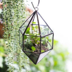 Handmade Hanging Cone Shape Glass Geometric Terrarium For Succulent Fern Moss -Terrarium Plant Hub product image 855726779