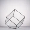 Handmade Cube Black Glass Geometric Terrarium Container For Moss Fen Succulents -Terrarium Plant Hub product image 857903358