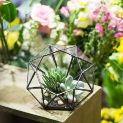 Handmade Diamond Open Glass Geometric Terrarium For Succulents Moss Fern Cacti -Terrarium Plant Hub product image 866974537