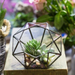 Handmade Diamond Open Glass Geometric Terrarium For Succulents Moss Fern Cacti -Terrarium Plant Hub product image 866974538