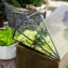 Handmade Long Diamond Glass Geometric Terrarium For Succulent Airplants Cacti Moss -Terrarium Plant Hub product image 953375755