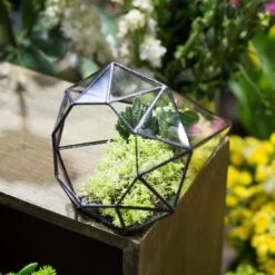 Handmade Long Diamond Glass Geometric Terrarium For Succulent Airplants Cacti Moss -Terrarium Plant Hub product image 953375756