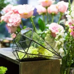 Handmade Long Diamond Glass Geometric Terrarium For Succulent Airplants Cacti Moss -Terrarium Plant Hub product image 953375757