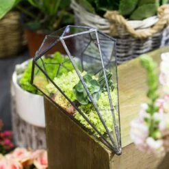 Handmade Long Diamond Glass Geometric Terrarium For Succulent Airplants Cacti Moss -Terrarium Plant Hub product image 953375758