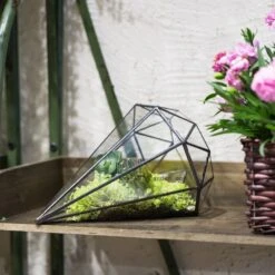 Handmade Long Diamond Glass Geometric Terrarium For Succulent Airplants Cacti Moss -Terrarium Plant Hub product image 953375759